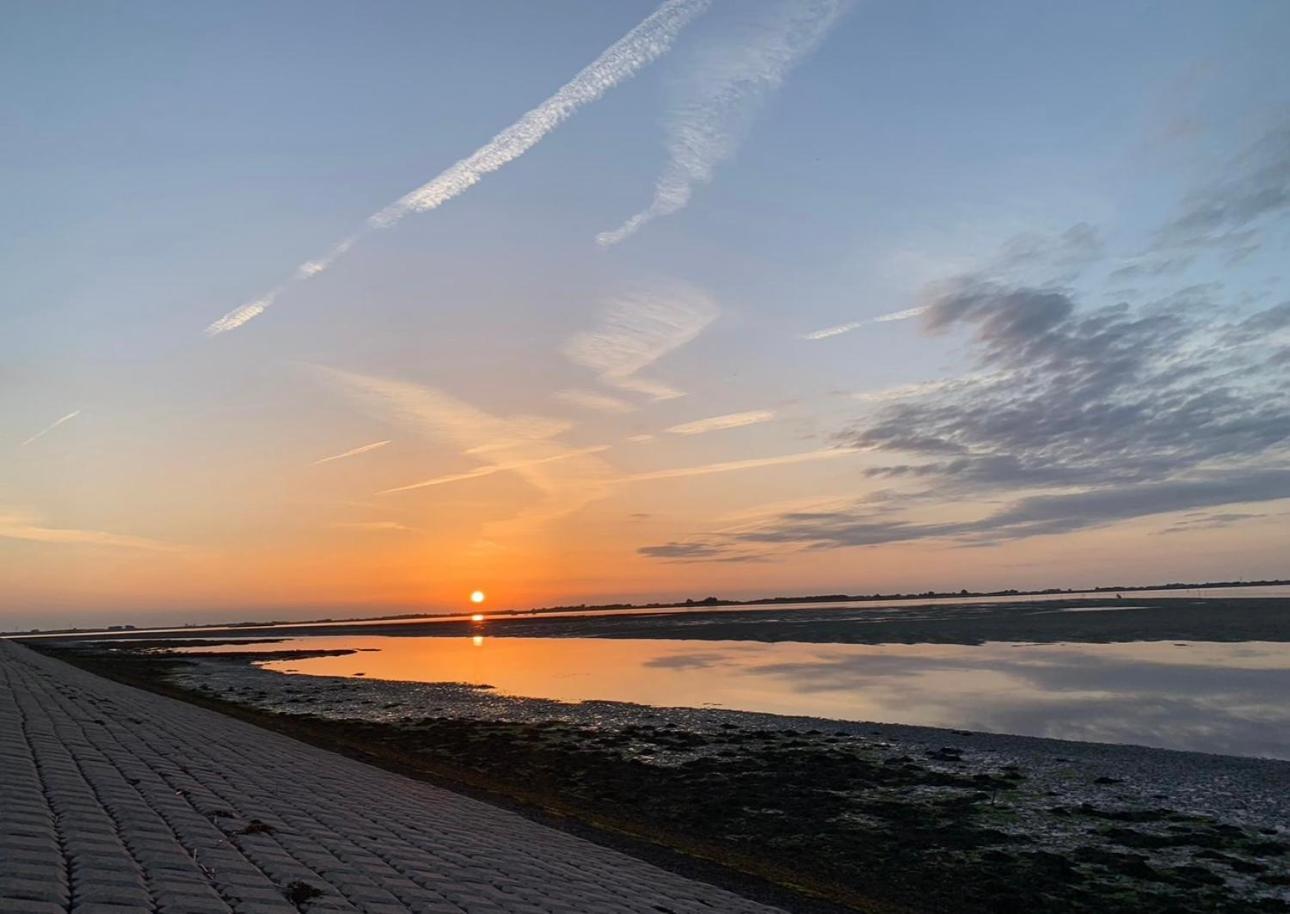 Vakantiewoning De Bosrand Aan Zee Sint Annaland Exterior foto